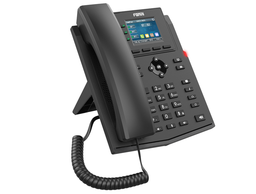 X303P